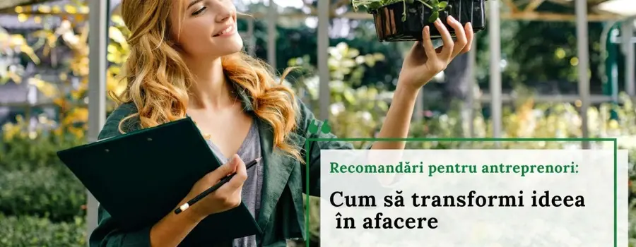 Recomandări pentru antreprenori. Cum să transformi ideia în afacere.